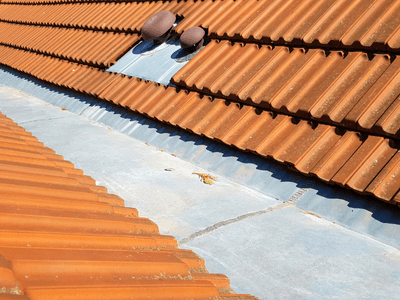 About Leaking Skylight Repair Pros Cooks, MI